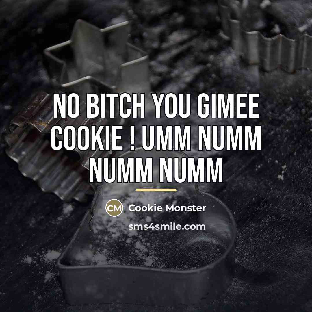“No Bitch You Gimee Cookie ! umm numm numm numm…” quote by Cookie Monster