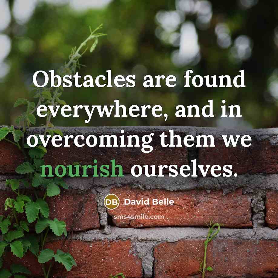 “Obstacles are found everywhere, and in overcoming them we nourish…” quote by David Belle