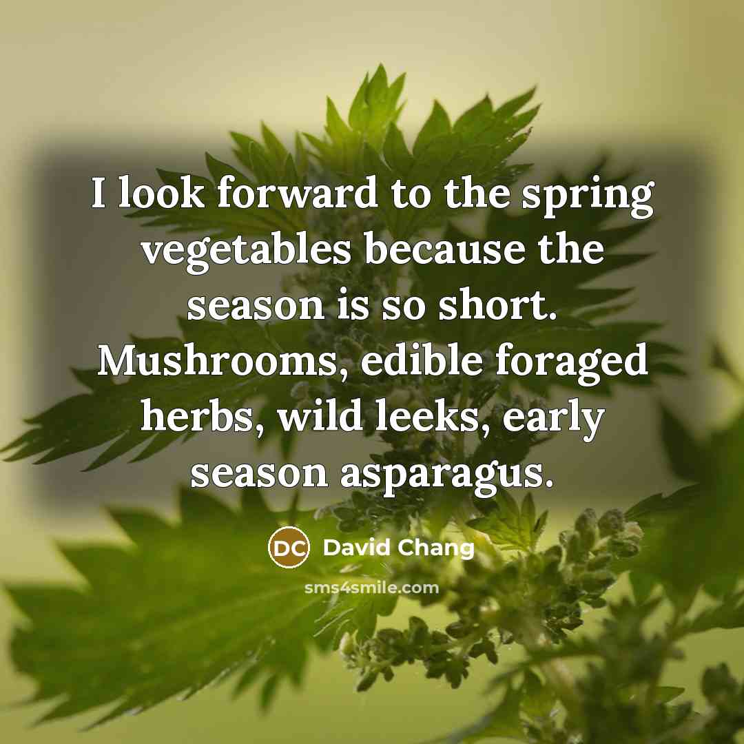 “I look forward to the spring vegetables because the season…” quote by David Chang