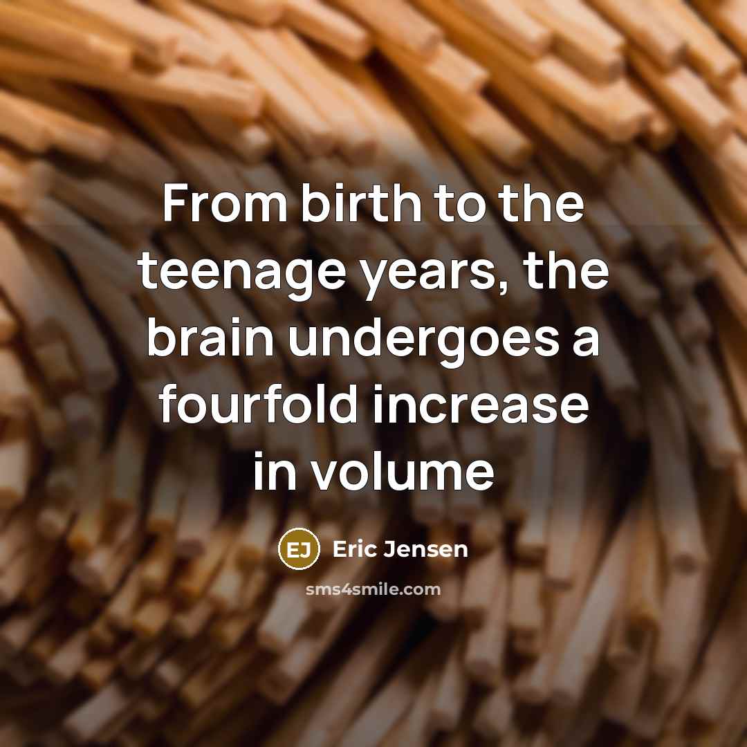 “From birth to the teenage years, the brain undergoes a…” quote by Eric Jensen