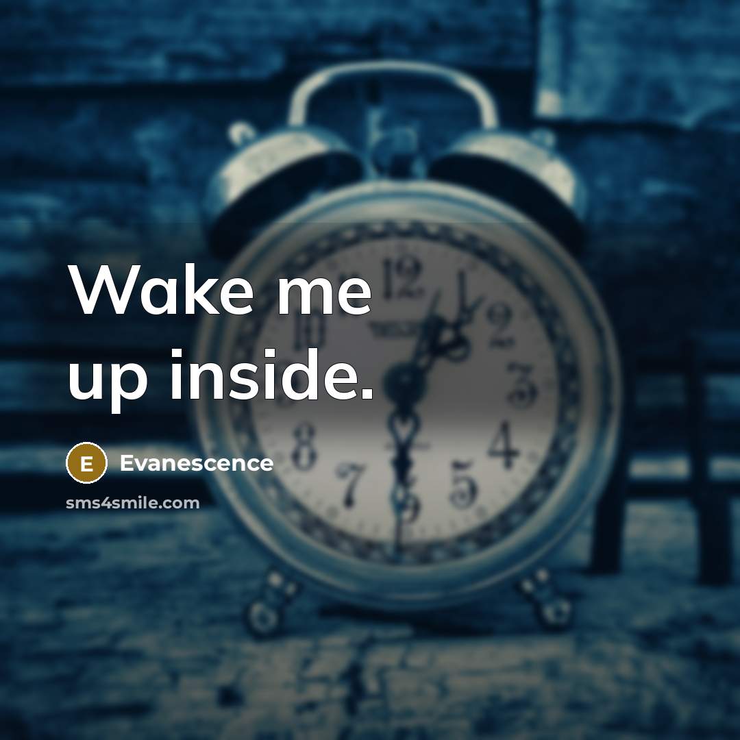 “Wake me up inside.” quote by Evanescence