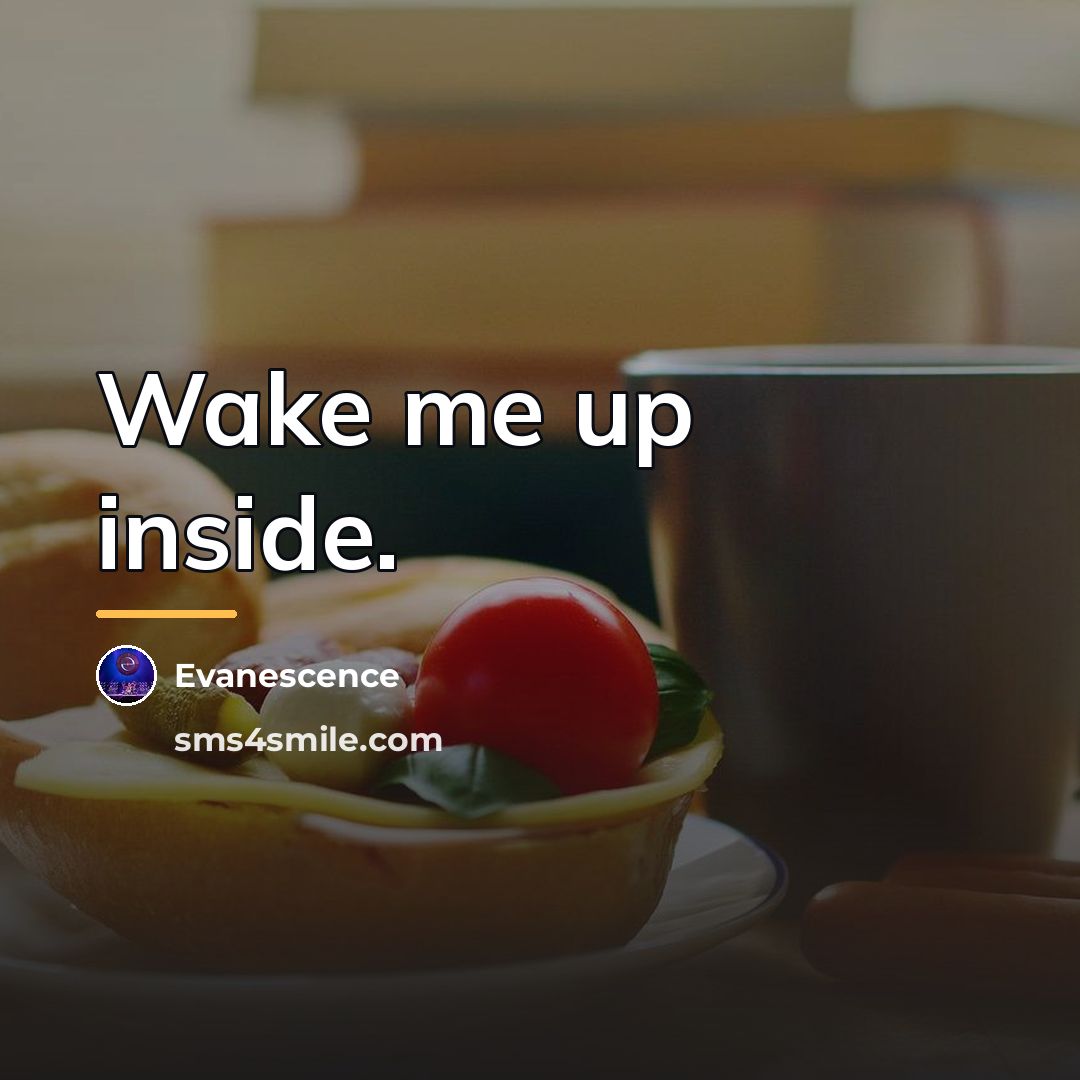 “Wake me up inside.…” quote by Evanescence