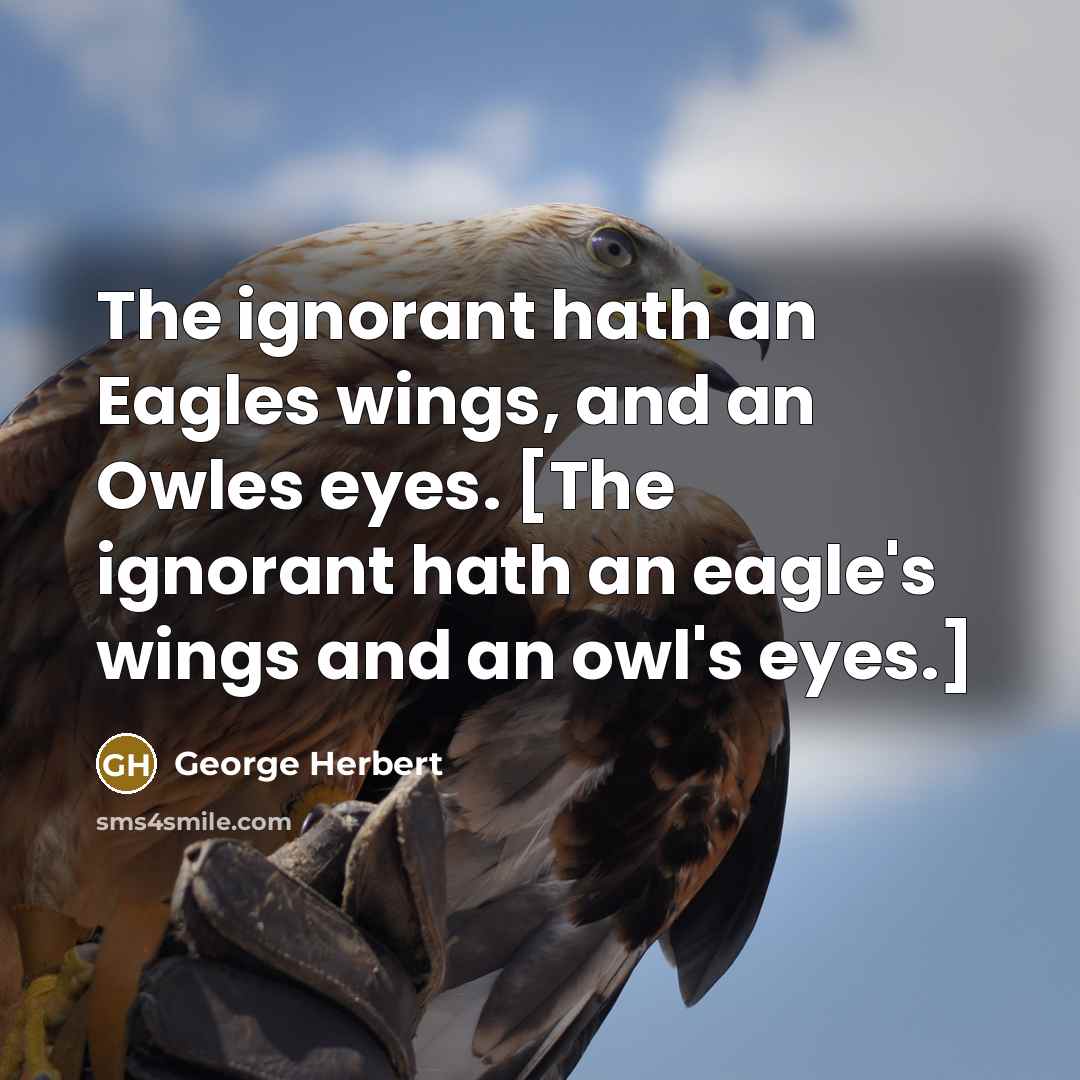 “The ignorant hath an Eagles wings, and an Owles eyes.…” quote by George Herbert