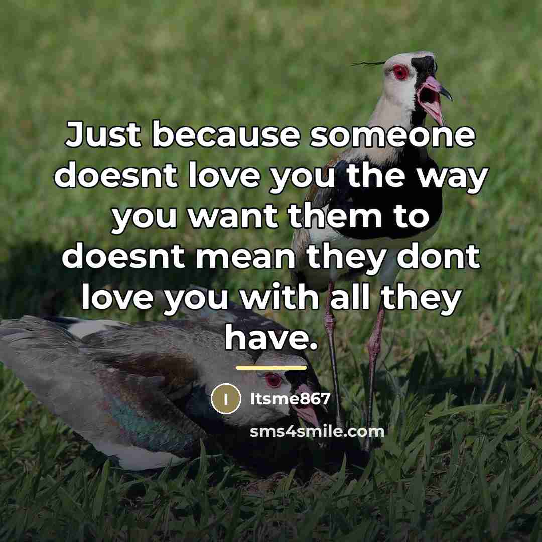 “Just because someone doesnt love you the way you want…” quote by Itsme867