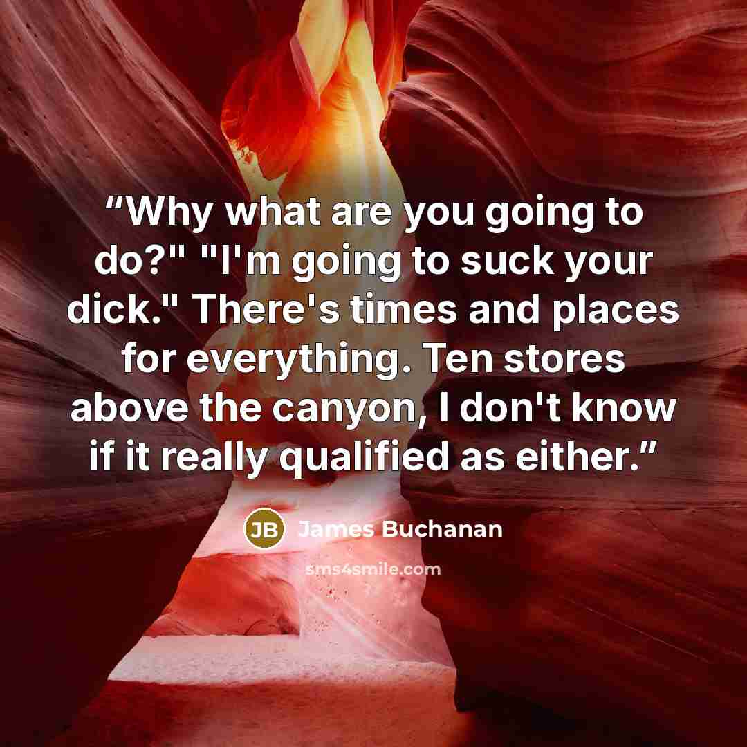 “Why what are you going to do?" "I'm going to suck your dick." There's times and places for everything. Ten stores above the canyon, I don't know if it really qualified as either.” quote by James Buchanan