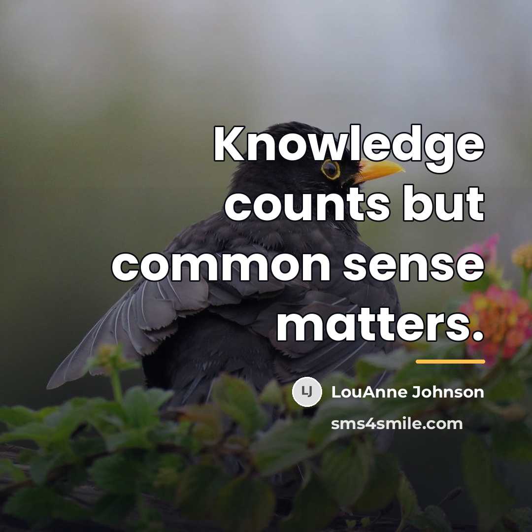 “Knowledge counts but common sense matters.…” quote by LouAnne Johnson