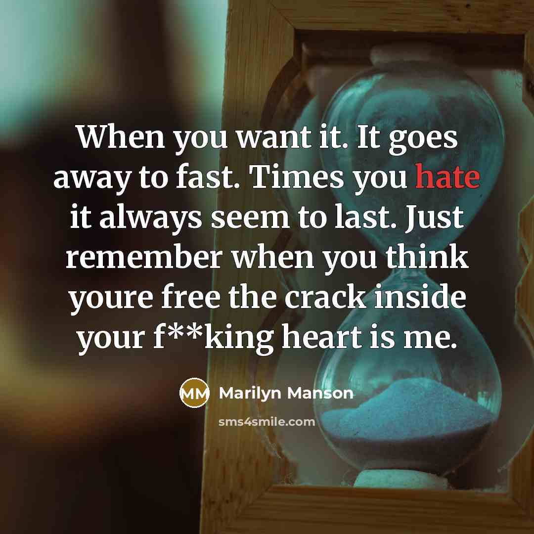 “When you want it. It goes away to fast. Times…” quote by Marilyn Manson