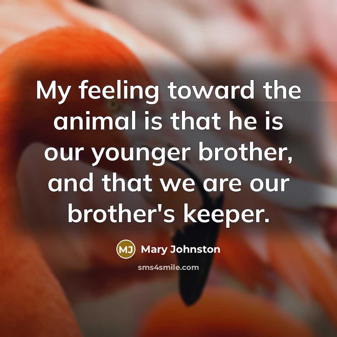 “My feeling toward the animal is that he is our…” quote by Mary Johnston