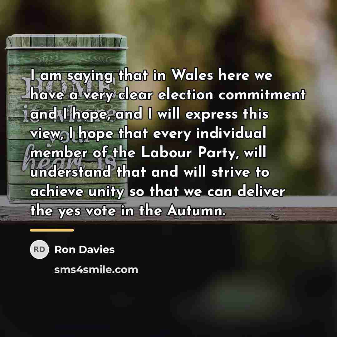 “I am saying that in Wales here we have a…” quote by Ron Davies