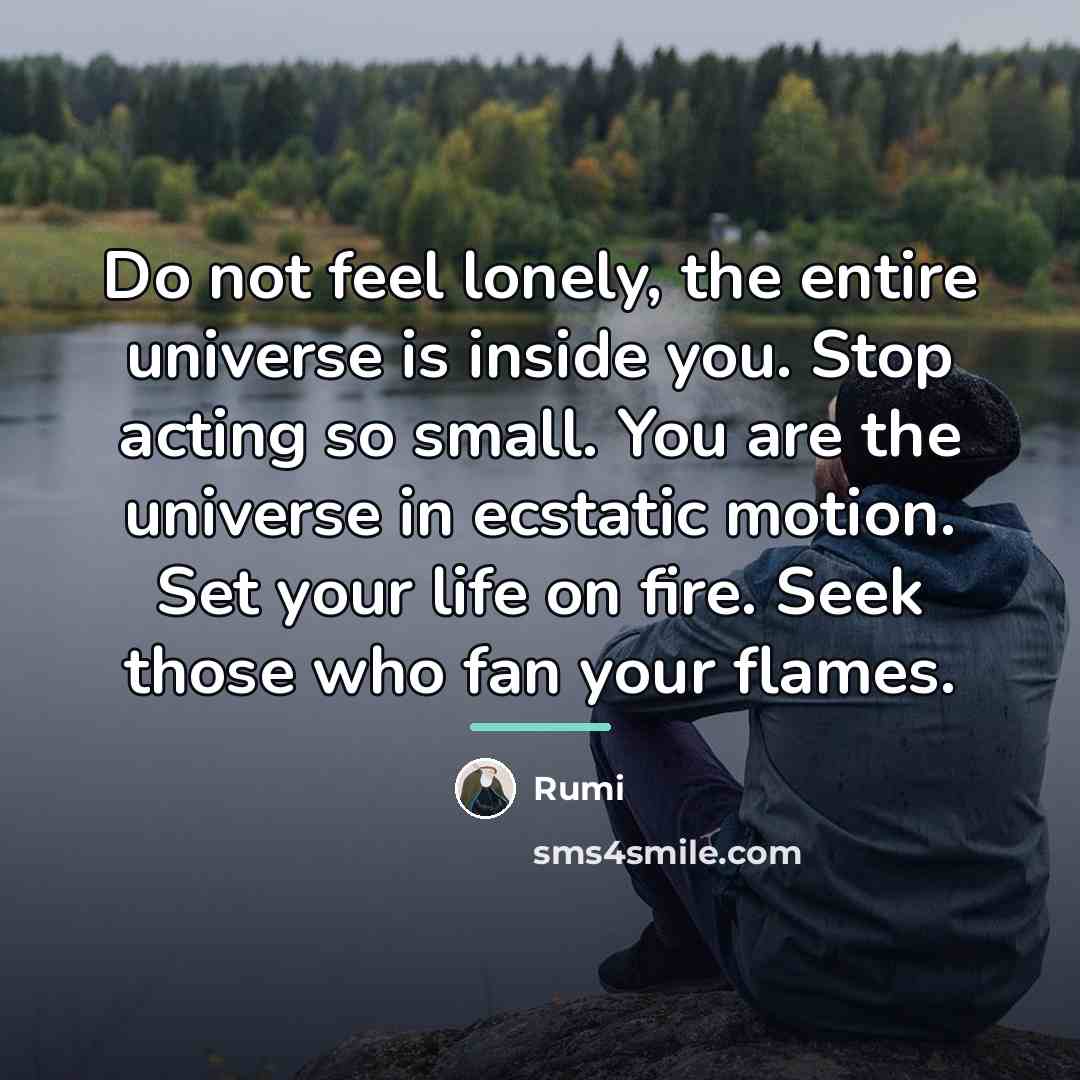 “Do not feel lonely, the entire universe is inside you.…” quote by Rumi