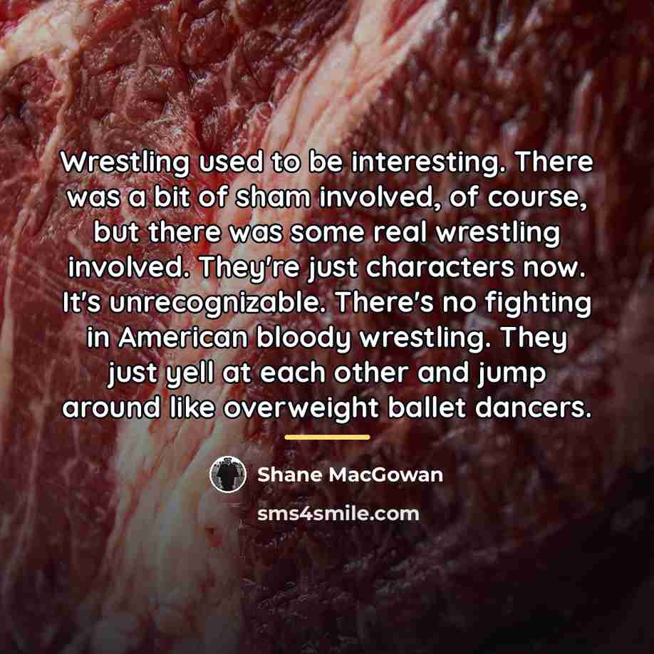 “Wrestling used to be interesting. There was a bit of…” quote by Shane MacGowan