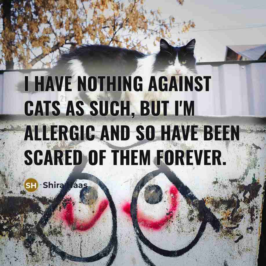 “I have nothing against cats as such, but I'm allergic…” quote by Shira Haas