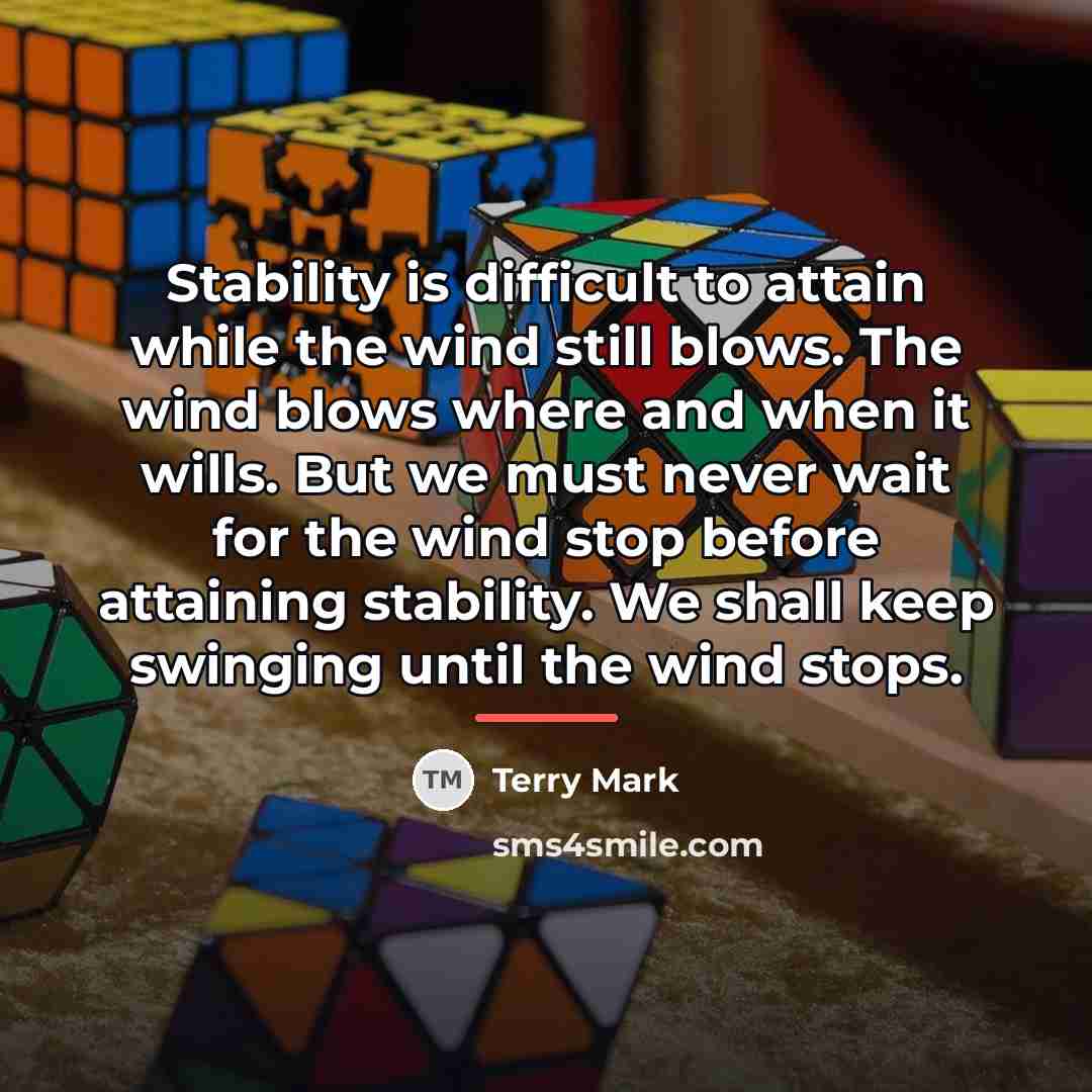 “Stability is difficult to attain while the wind still blows.…” quote by Terry Mark