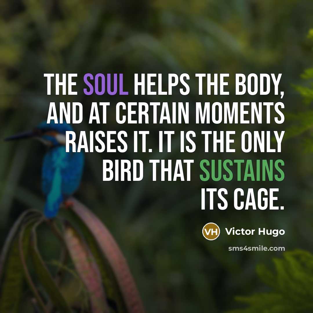 “The soul helps the body, and at certain moments raises…” quote by Victor Hugo