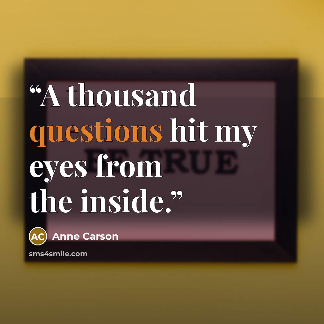 “A thousand questions hit my eyes from the inside.” quote by Anne Carson
