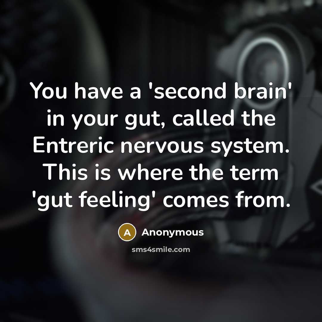 “You have a 'second brain' in your gut, called the Entreric nervous system. This is where the term 'gut feeling' comes from.” quote by Anonymous