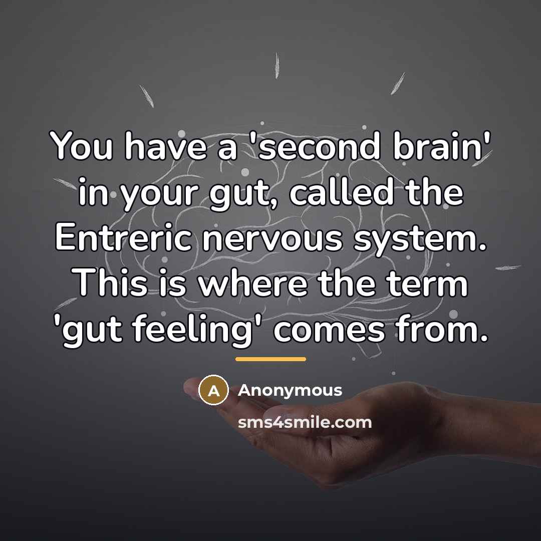 “You have a 'second brain' in your gut, called the…” quote by Anonymous