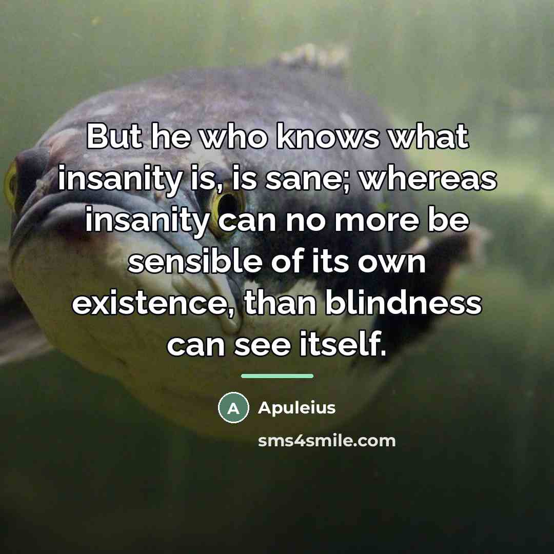 “But he who knows what insanity is, is sane; whereas…” quote by Apuleius