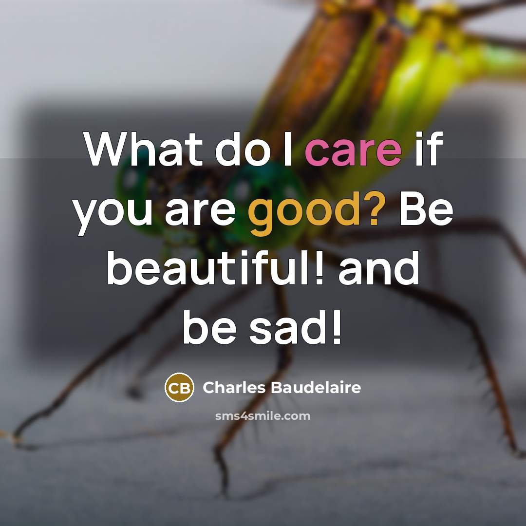 “What do I care if you are good? Be beautiful!…” quote by Charles Baudelaire