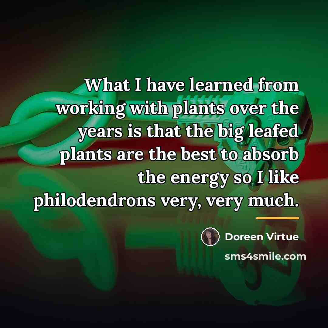 “What I have learned from working with plants over the…” quote by Doreen Virtue