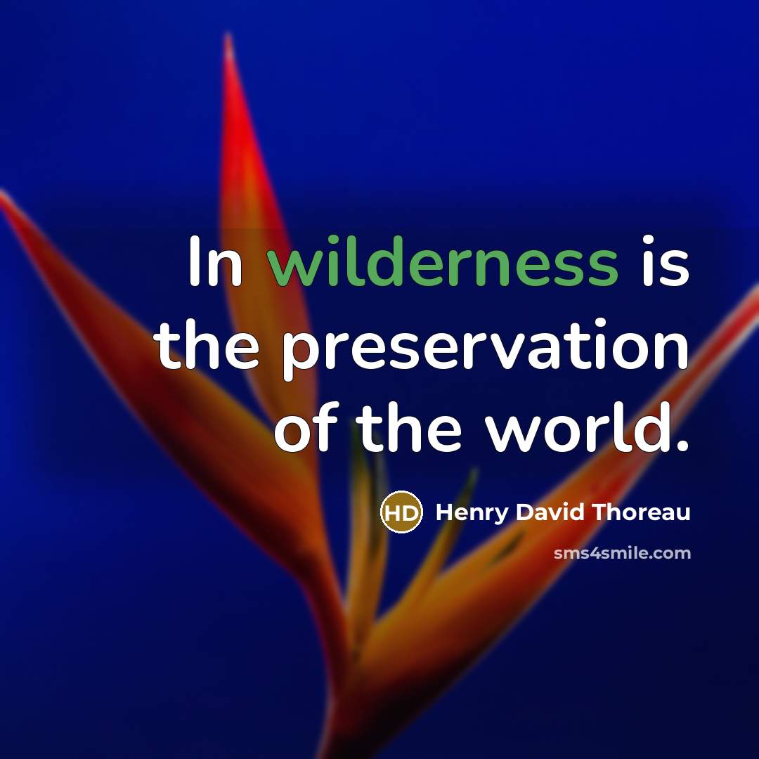 “In wilderness is the preservation of the world.…” quote by Henry David Thoreau