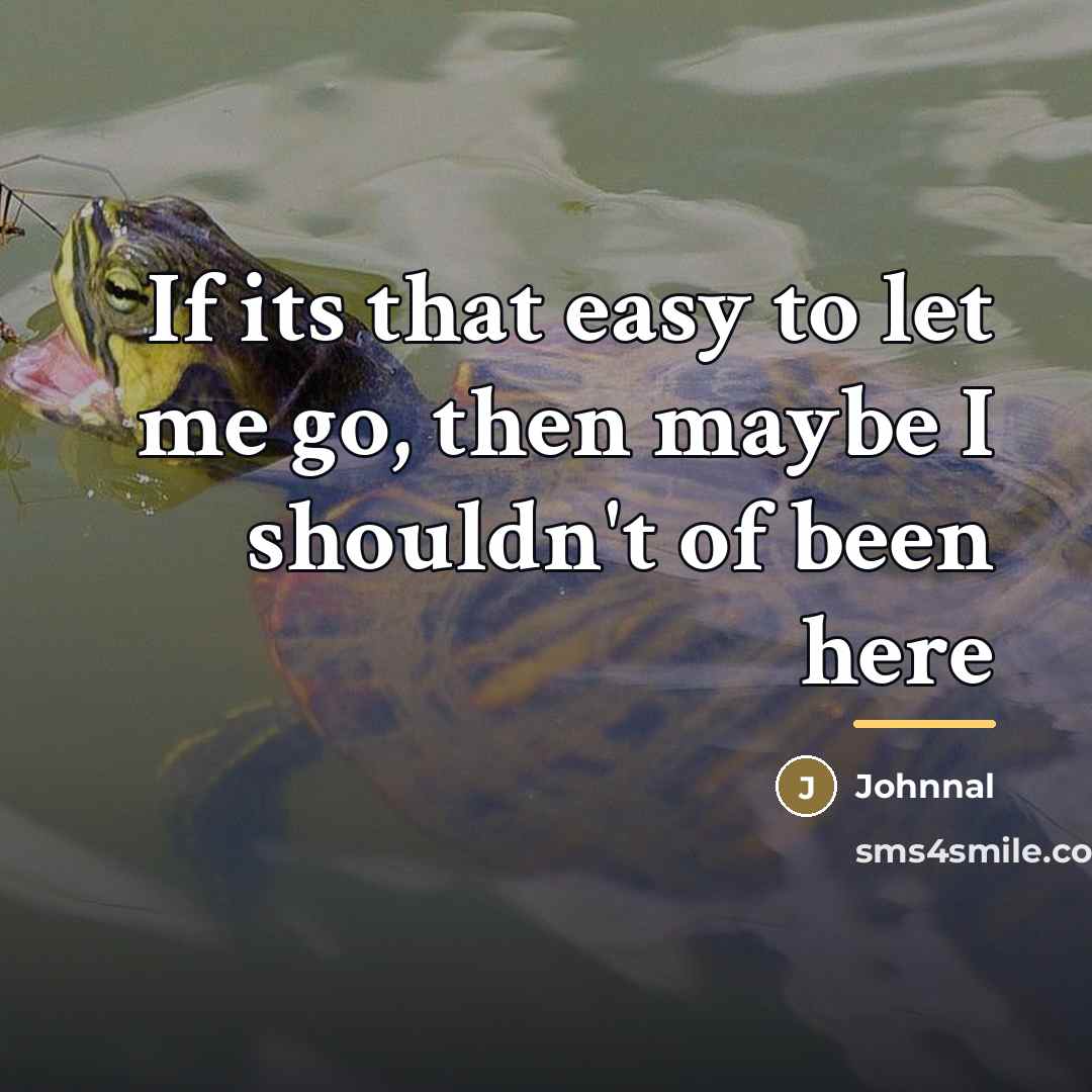 “If its that easy to let me go, then maybe…” quote by Johnnal