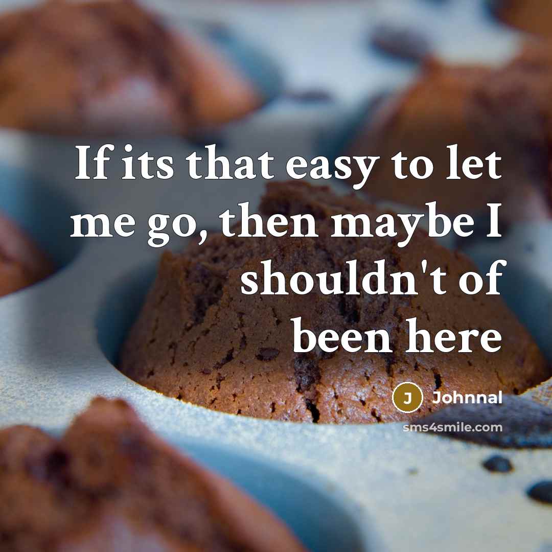 “If its that easy to let me go, then maybe I shouldn't of been here” quote by Johnnal