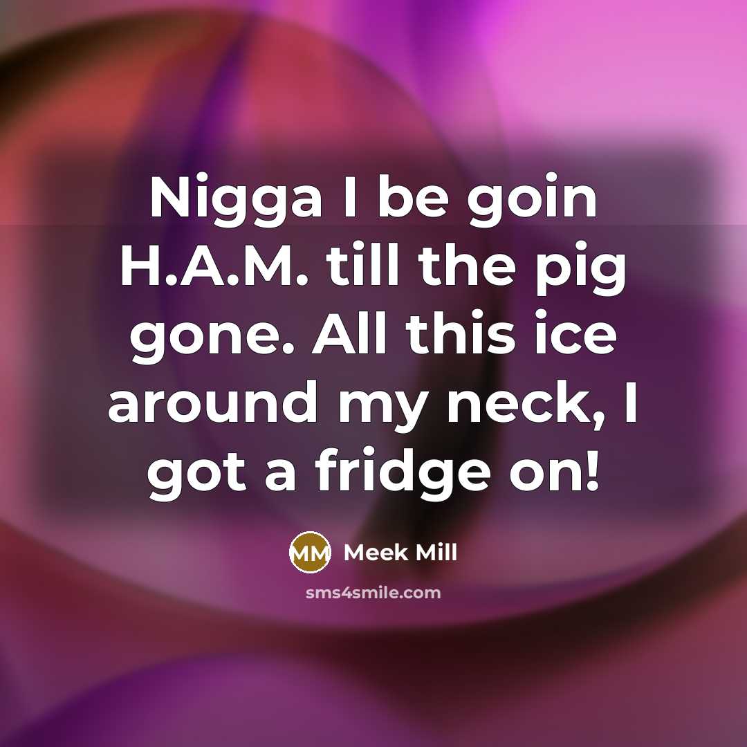“Nigga I be goin H.A.M. till the pig gone. All…” quote by Meek Mill
