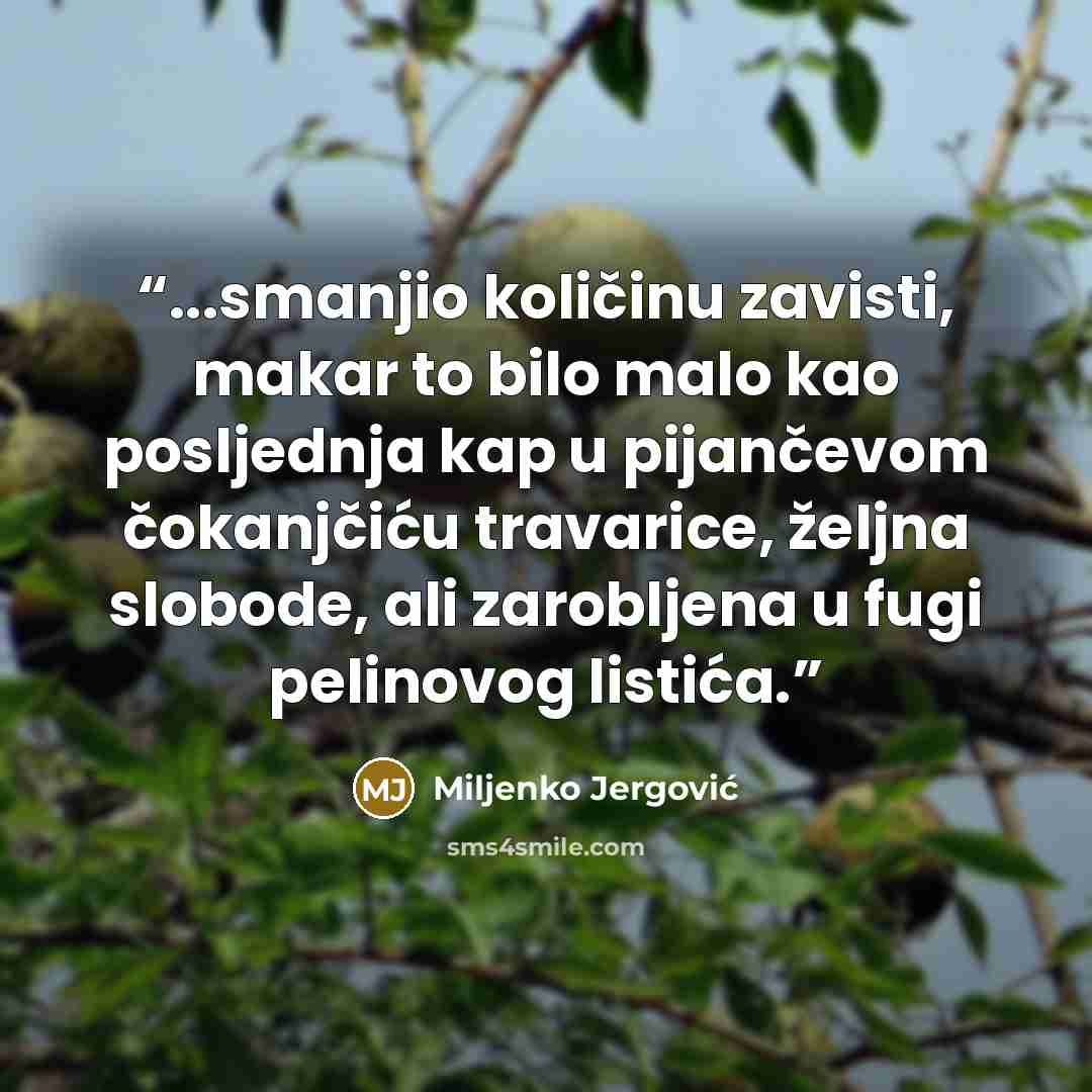“...smanjio količinu zavisti, makar to bilo malo kao posljednja kap u pijančevom čokanjčiću travarice, željna slobode, ali zarobljena u fugi pelinovog listića.” quote by Miljenko Jergović