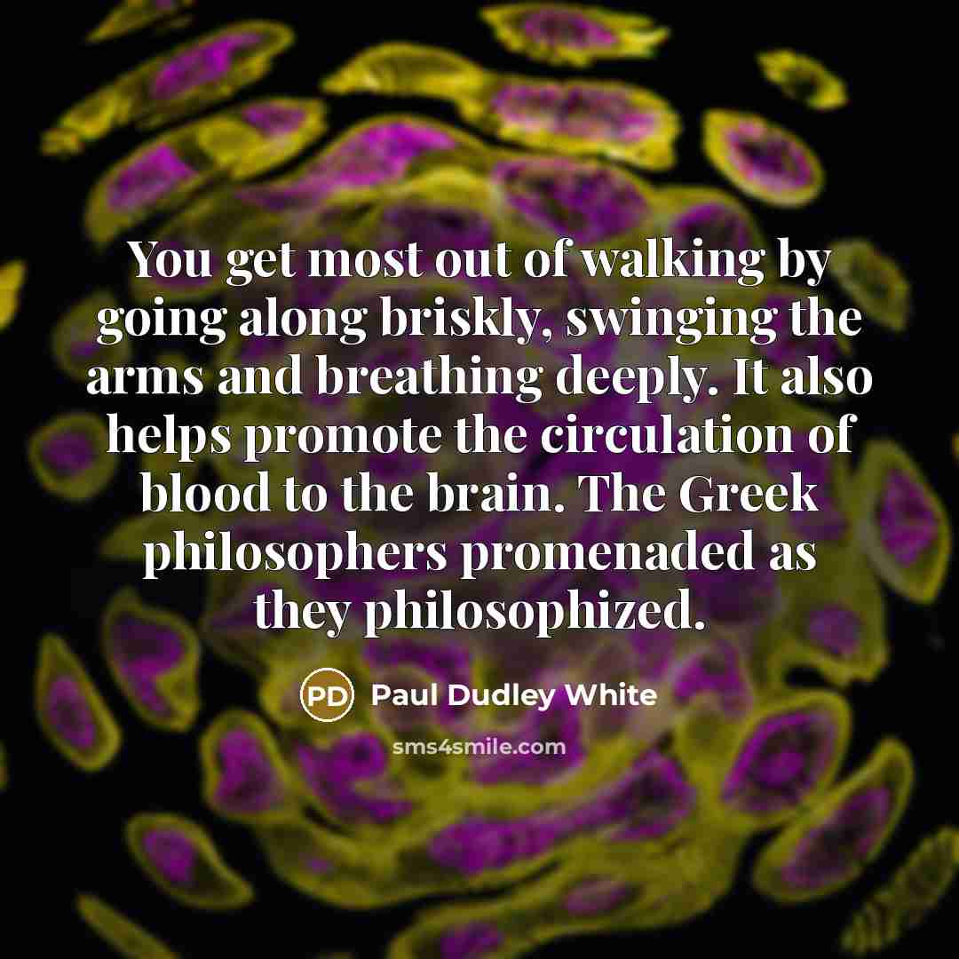 “You get most out of walking by going along briskly,…” quote by Paul Dudley White