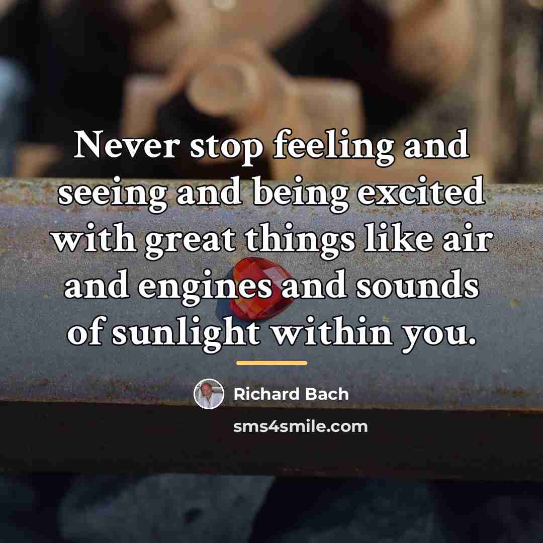 “Never stop feeling and seeing and being excited with great…” quote by Richard Bach
