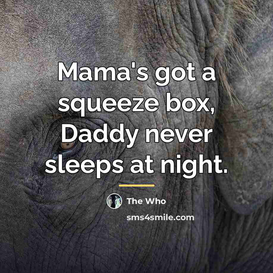 “Mama's got a squeeze box, Daddy never sleeps at night.…” quote by The Who