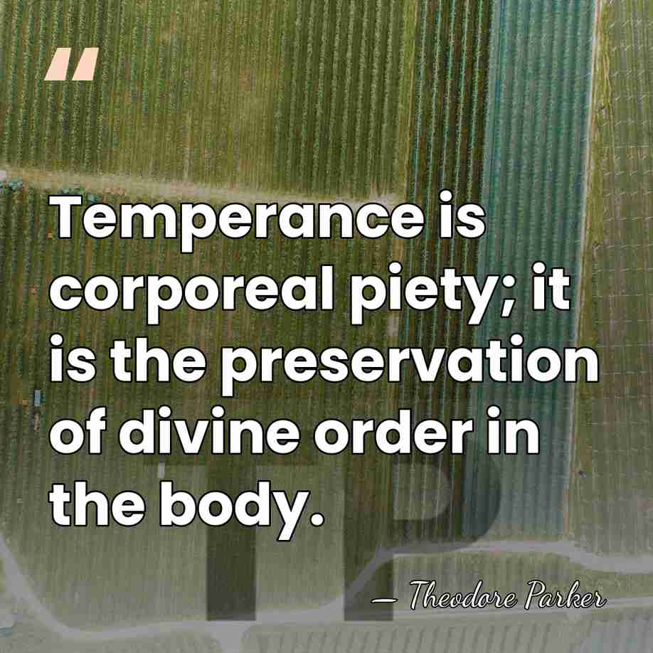 Temperance is corporeal piety; it is the preservation of divine order in&hellip; - Theodore Parker