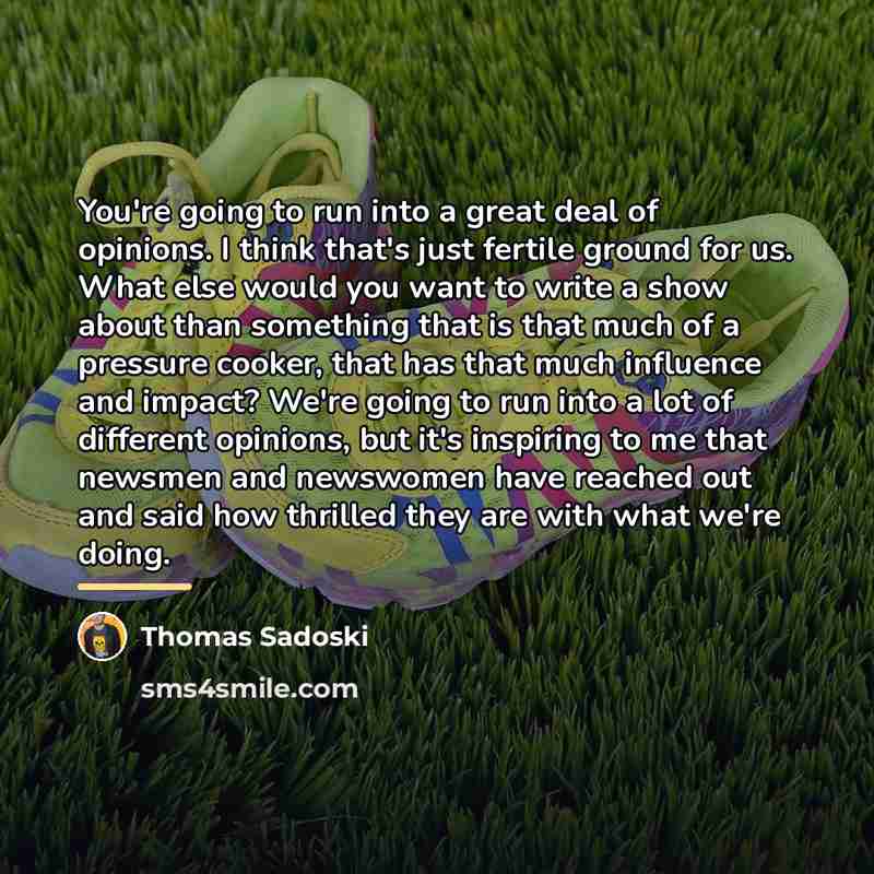 “You're going to run into a great deal of opinions.…” quote by Thomas Sadoski