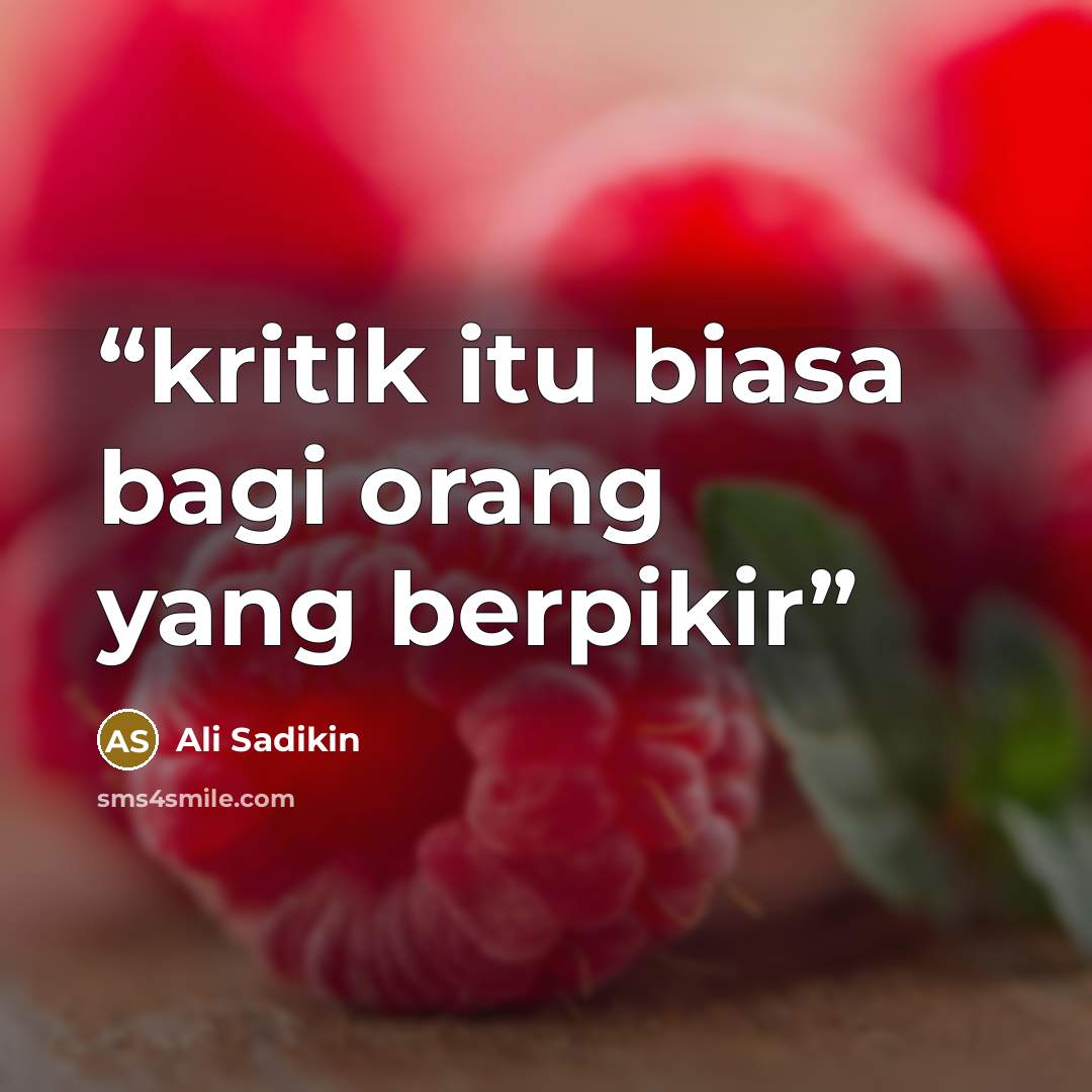 “kritik itu biasa bagi orang yang berpikir” quote by Ali Sadikin
