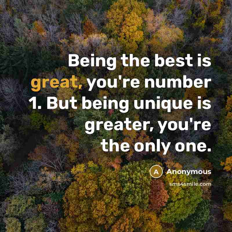 “Being the best is great, you're number 1. But being…” quote by Anonymous
