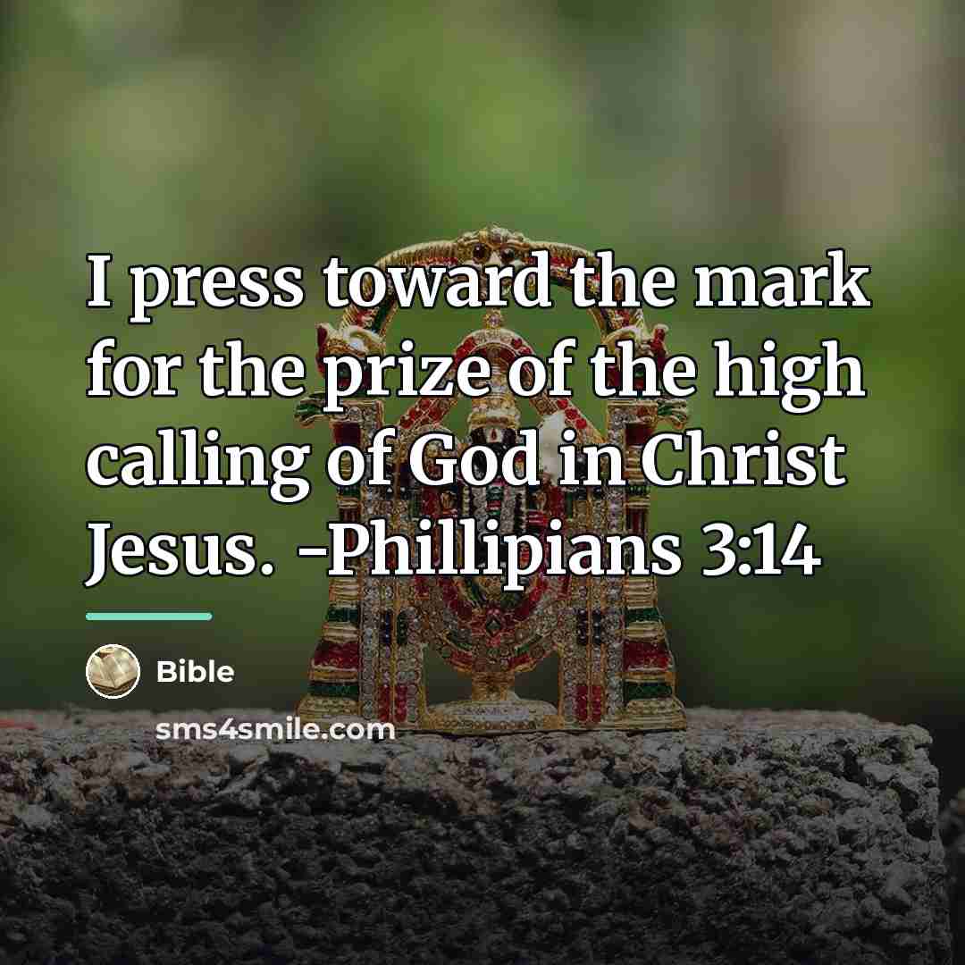 “I press toward the mark for the prize of the…” quote by Bible