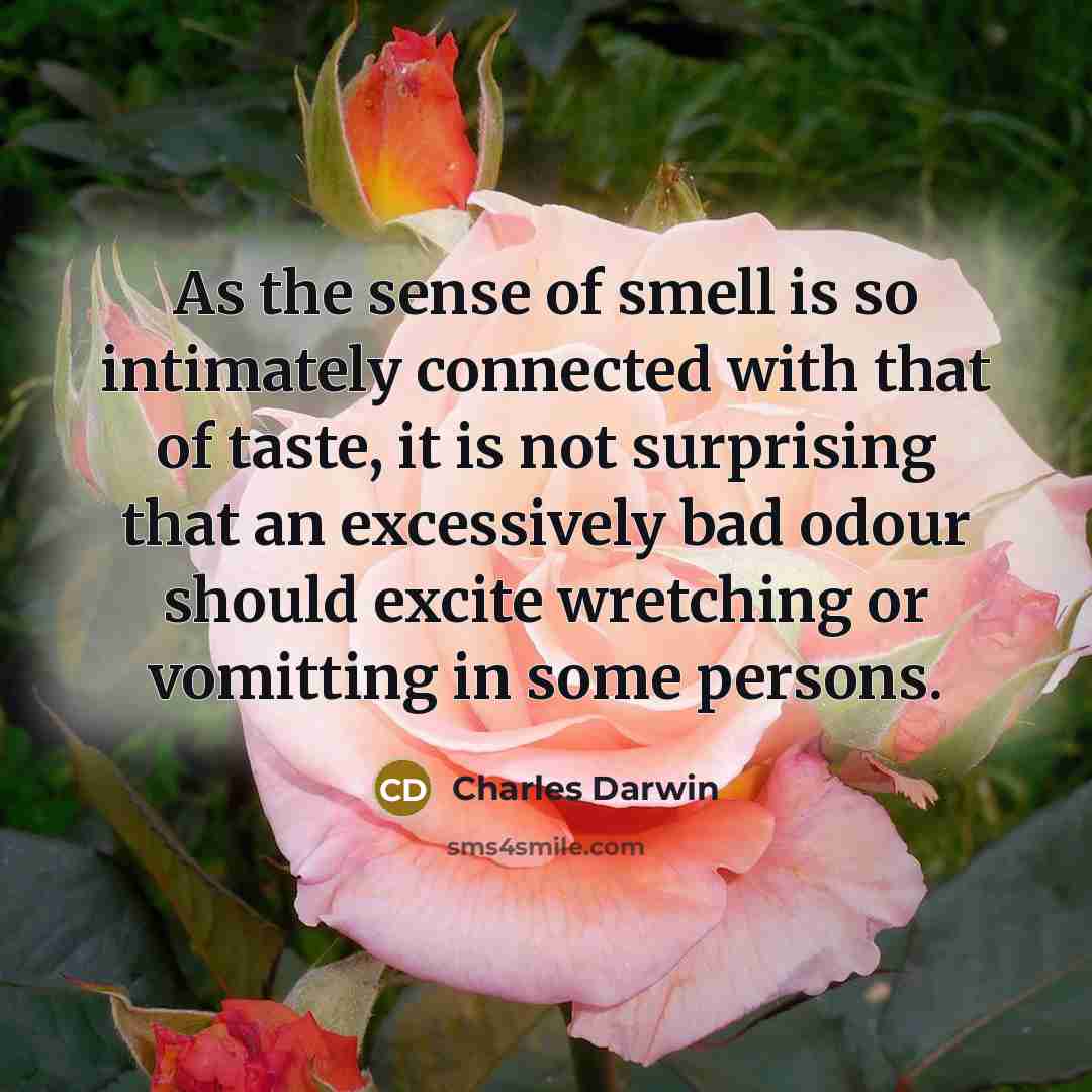 “As the sense of smell is so intimately connected with…” quote by Charles Darwin