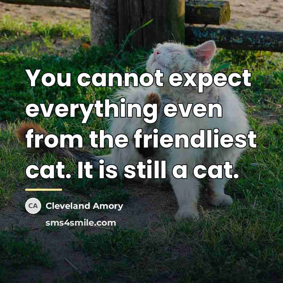 “You cannot expect everything even from the friendliest cat. It…” quote by Cleveland Amory