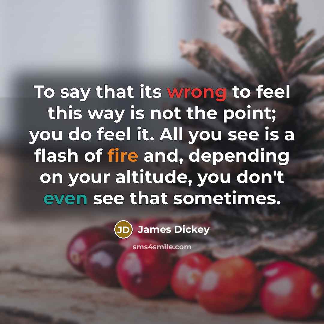 “To say that its wrong to feel this way is not the point; you do feel it. All you see is a flash of fire and, depending on your altitude, you don't even see that sometimes.” quote by James Dickey
