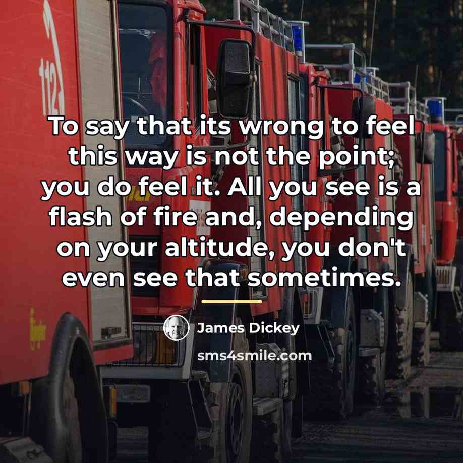 “To say that its wrong to feel this way is…” quote by James Dickey
