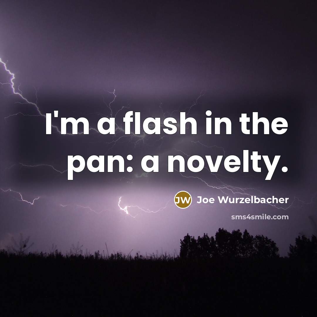“I'm a flash in the pan: a novelty.…” quote by Joe Wurzelbacher