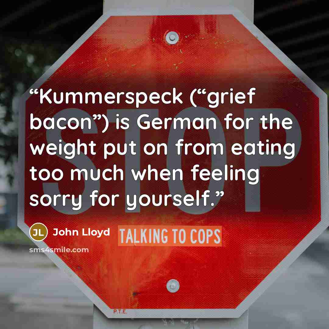 “Kummerspeck (“grief bacon”) is German for the weight put on from eating too much when feeling sorry for yourself.” quote by John Lloyd