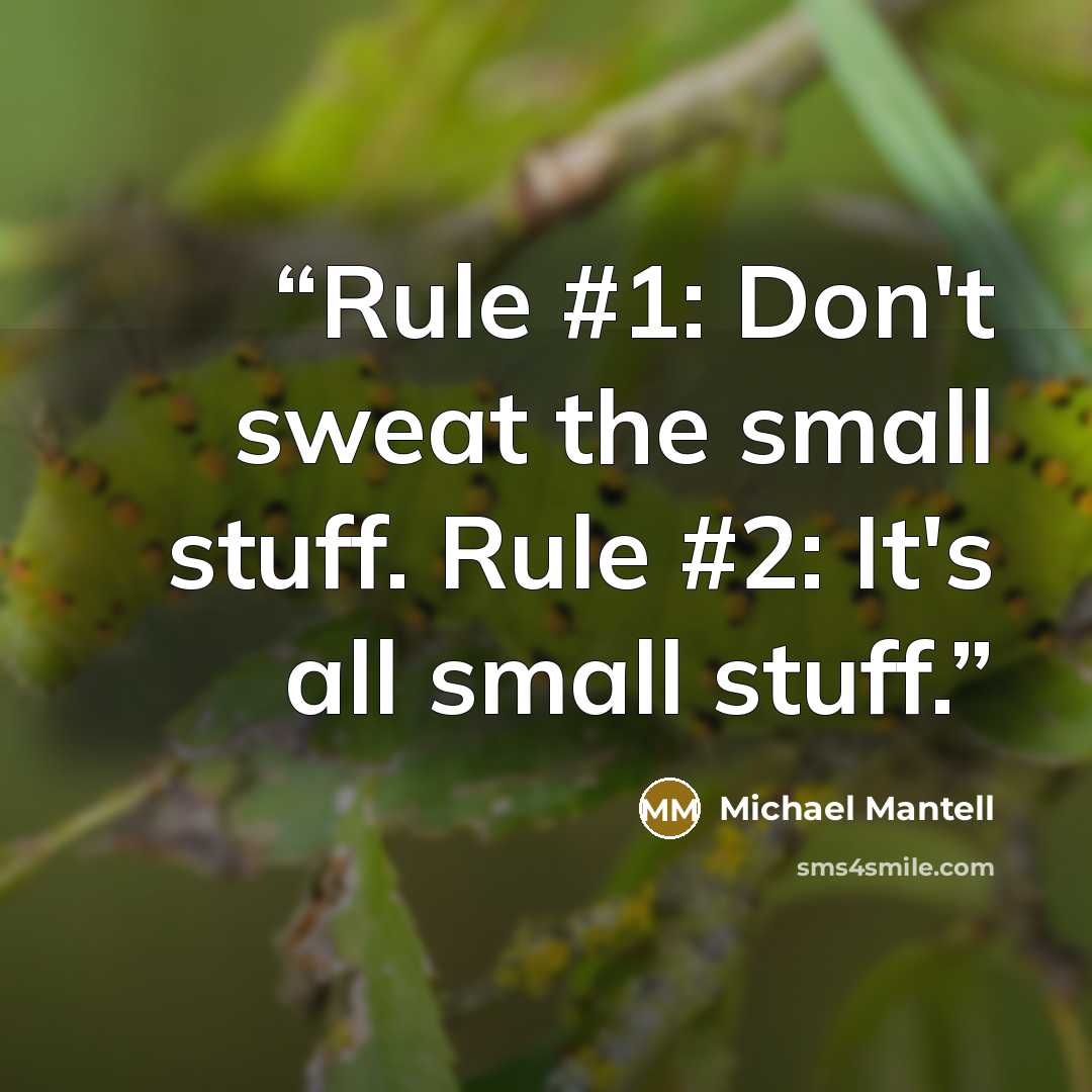 “Rule #1: Don't sweat the small stuff. Rule #2: It's all small stuff.” quote by Michael Mantell