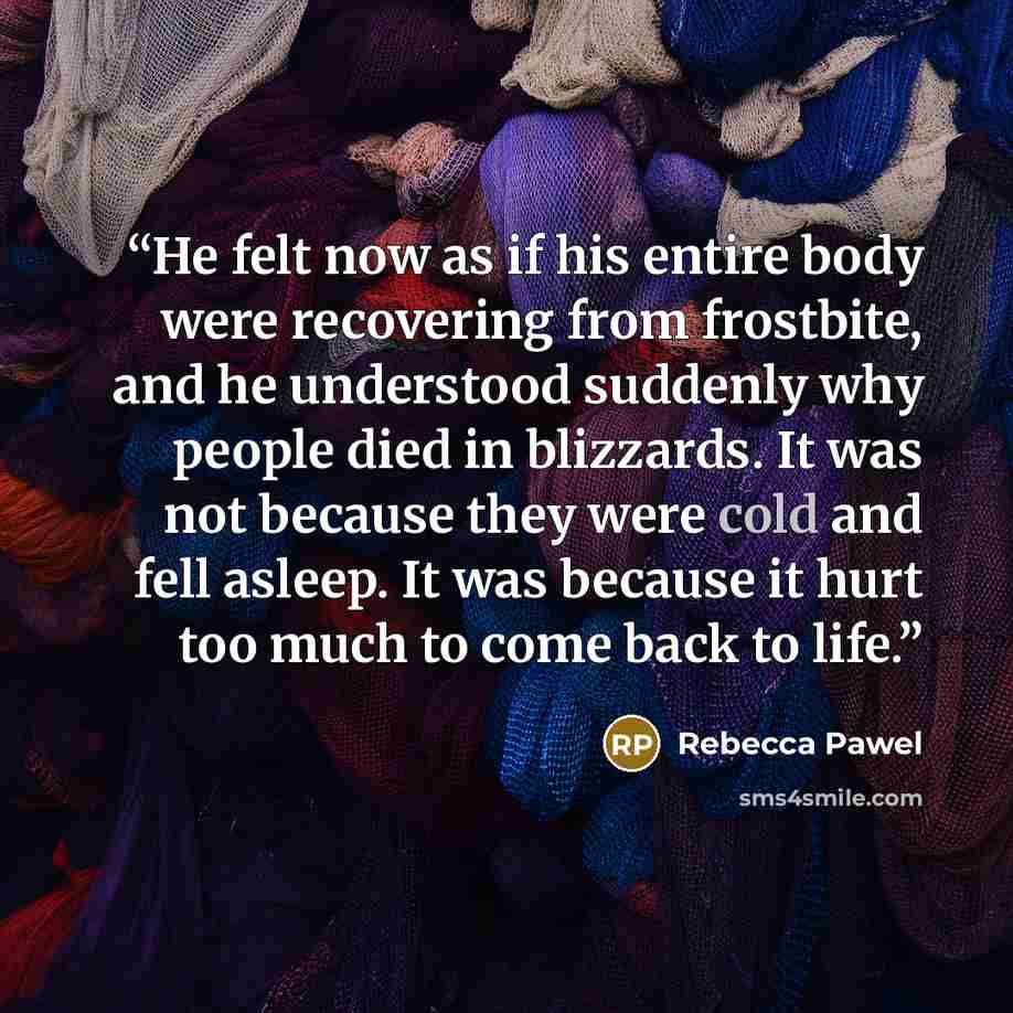 “He felt now as if his entire body were recovering from frostbite, and he understood suddenly why people died in blizzards. It was not because they were cold and fell asleep. It was because it hurt too much to come back to life.” quote by Rebecca Pawel