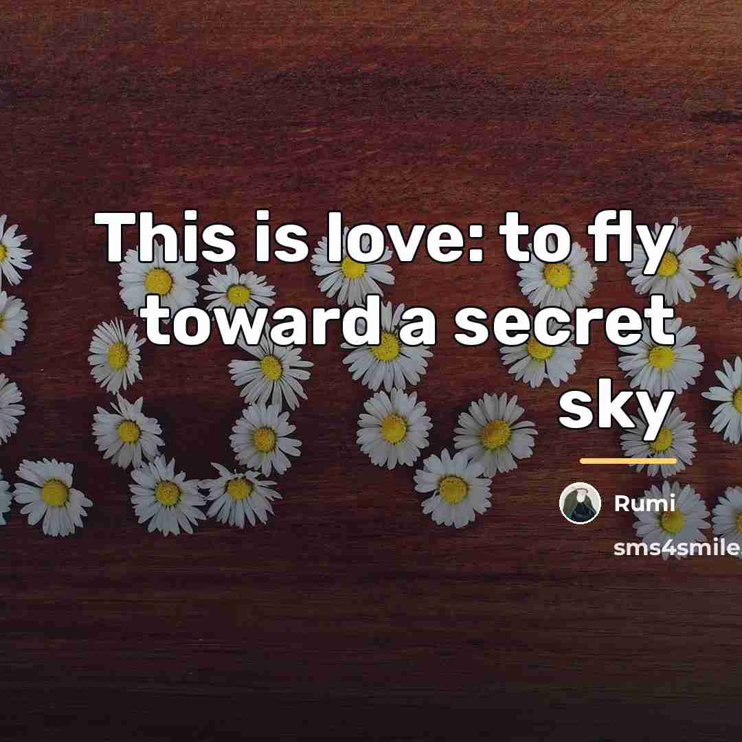 “This is love: to fly toward a secret sky…” quote by Rumi