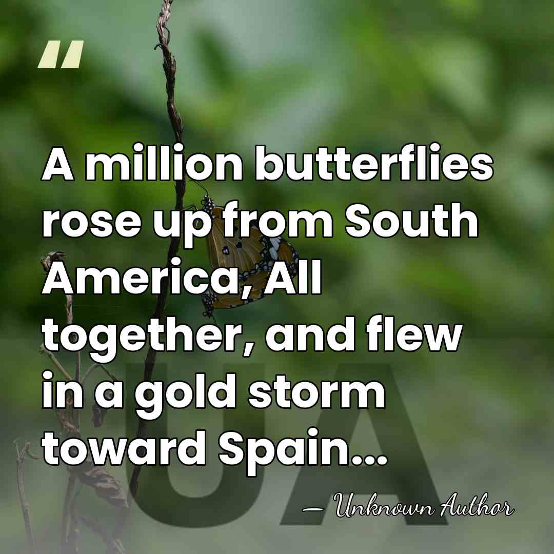 A million butterflies rose up from South America, All together, and flew&hellip; - Unknown Author