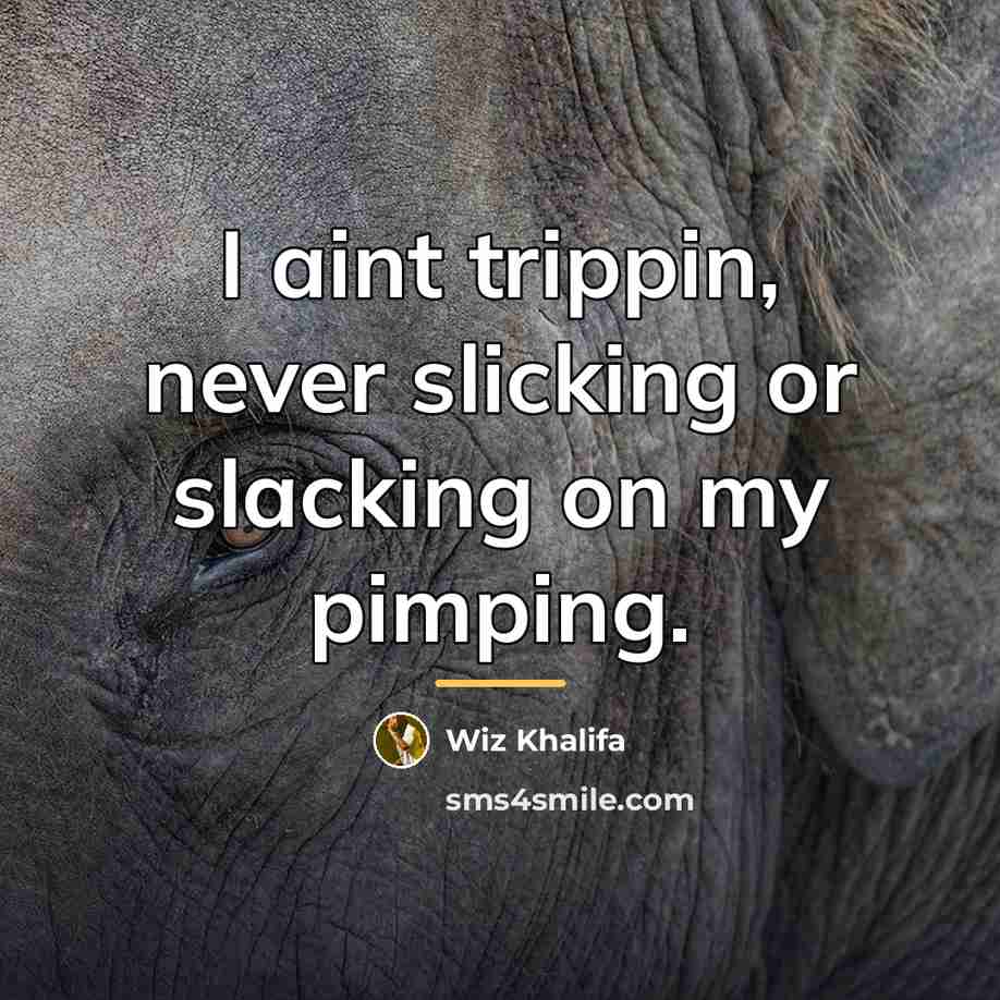 “I aint trippin, never slicking or slacking on my pimping.…” quote by Wiz Khalifa