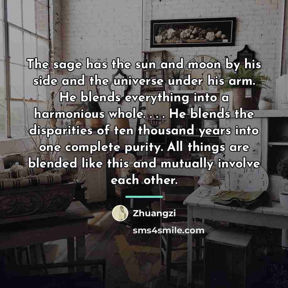 “The sage has the sun and moon by his side…” quote by Zhuangzi