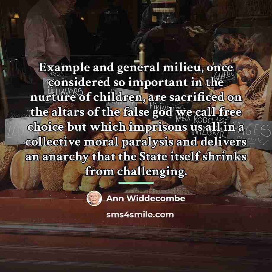 “Example and general milieu, once considered so important in the…” quote by Ann Widdecombe